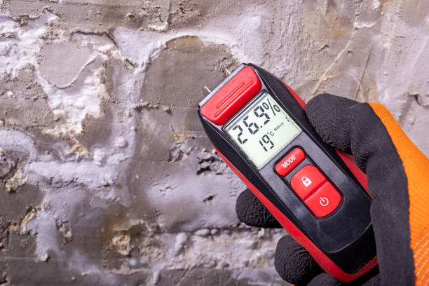 Best Kitchen Mold Remediation in Pinckneyvle, IL